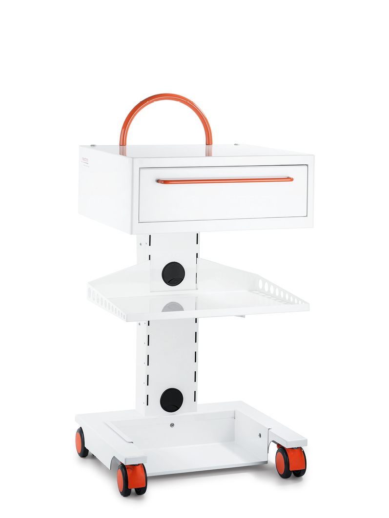 MT-Bone cart