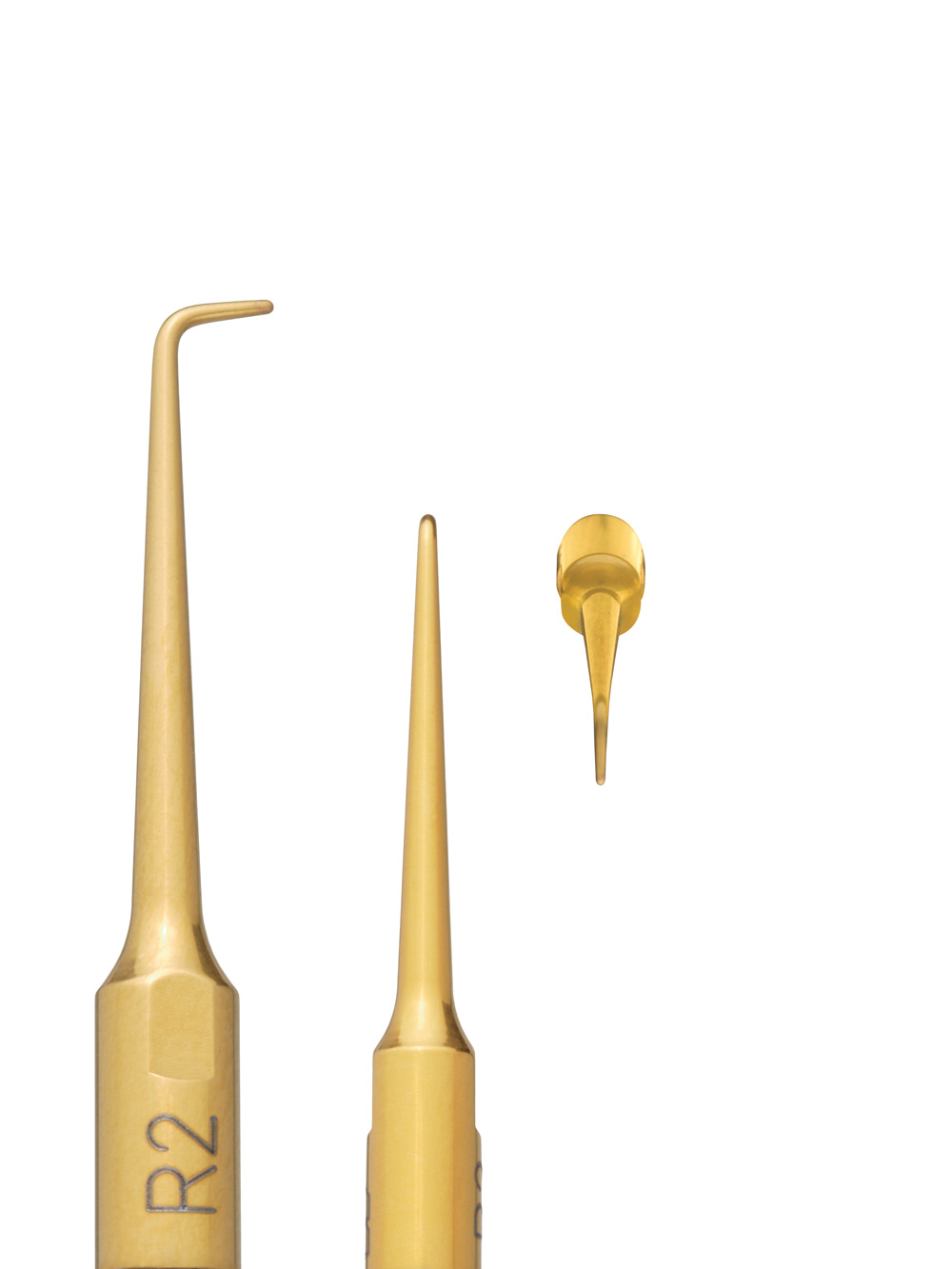 insert R2 lateral view, turned about 90° and frontal view